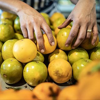 ACUAFASA: el futuro de la soberanía alimentaria en Colombia