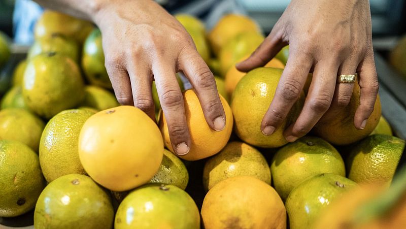 ACUAFASA: el futuro de la soberanía alimentaria en Colombia - Hora América | Escuchar