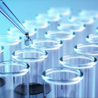 La ciencia no tiene límites