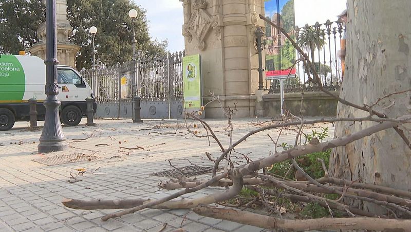 L'Entrellat - Risc de ventades superiors als 108km/h demà dijous: Es limita la mobilitat i se suspèn l’activitat educativa i assistencial - L'Entrellat | Escoltar