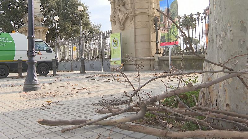 L'Entrellat - Aquest episodi de vents és el més important a Catalunya en els últims 15-20 anys - L'Entrellat | Escoltar