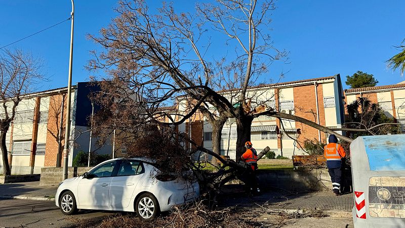 El vent anirà a la baixa en les pròximes hores però es manté l'alerta