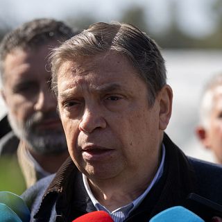 Planas, sobre las borrascas: "Han causado daños importantes en muchos cultivos"