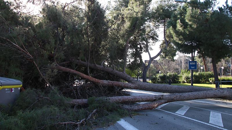 Treva del vent amb una víctima mortal | Escoltar