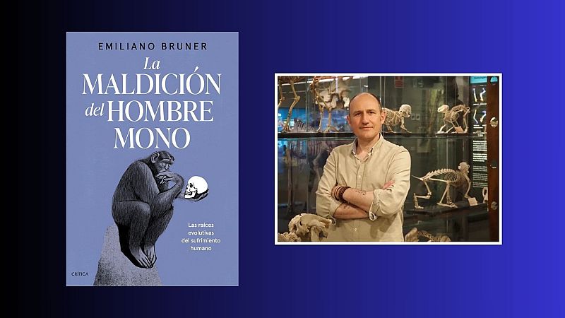 Fallo de sistema - 841: Somos monos inteligentes y tristes... ¿Por qué? - 15/02/26 - Fallo de sistema | Escuchar