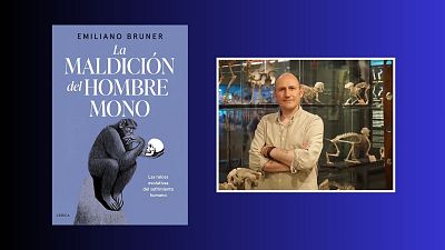 841: Somos monos inteligentes y tristes... �Por qu�?