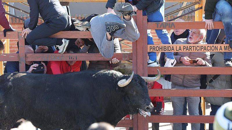 Luto en el Carnaval del Toro, entrevista a Juan Pablo Sánchez y 60 aniversario de Clarín - Clarín | Escuchar