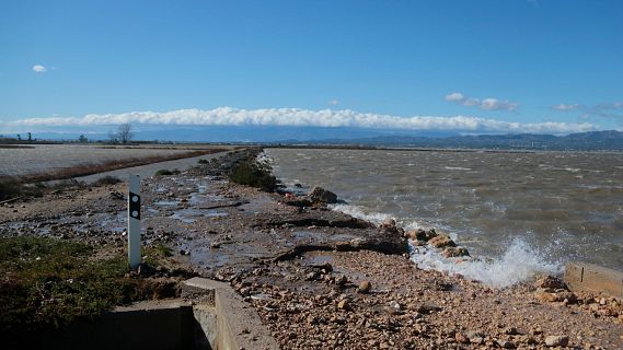 El temporal trenca les defenses del Delta i inunda arrossars