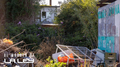 Al margen de la ley - 2x25 - Escapa tras 2 a�os raptada y el juicio de Diego Bello - Escuchar ahora