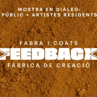 Feedback. Participant del procés creatiu