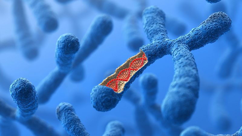 El palabrero - Cromosoma contumaz - 19/02/26 - Escuchar ahora