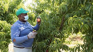 El Cercle d'Economia demana un pacte d'Estat sobre pol�tica migrat�ria