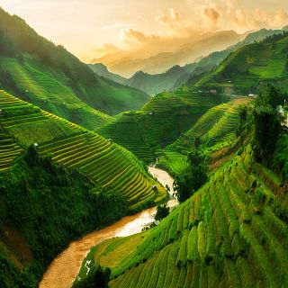 Desafío senior en Vietnam