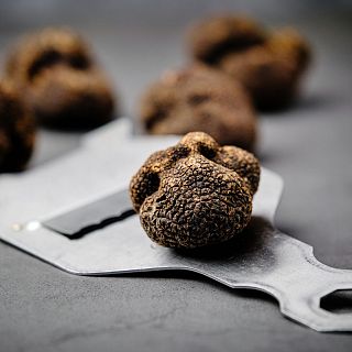 'Tuber melanosporum', diamante negro de nuestra gastronomía