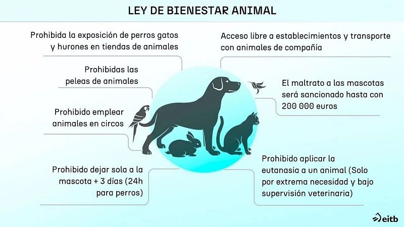 En primera persona - Derecho Animal - 22/02/26 - Escuchar ahora