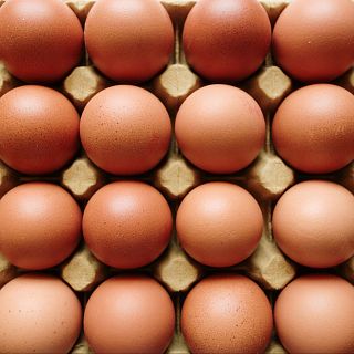 El huevo: pequeño por fuera, gigante por dentro