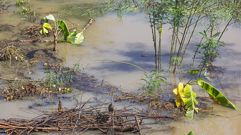 Mundo rural - Ayudas por las borrascas de la PAC - Escuchar ahora