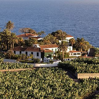 Descanso en Garachico entre plataneras y el Atlántico