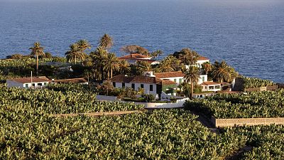 Descanso en Garachico entre plataneras y el Atlántico