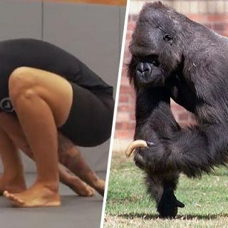 La 'caminada del goril·la' arrasa als gimnasos: per què tothom la fa?