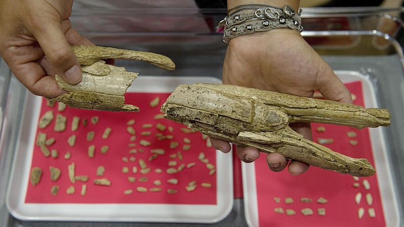 Historia y ciencia por un tubo - Cuando nuestra imaginación voló más alto - 23/02/26 - Escuchar ahora