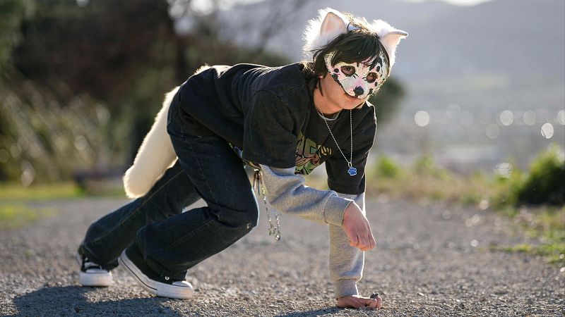 Bon dia i bona sort - Therians: els defensors i els detractors a les xarxes - Bon dia i bona sort | Escoltar