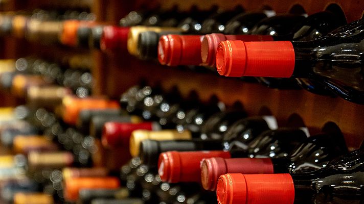 Claves para 'asomarse' al mundo del vino y tener éxito