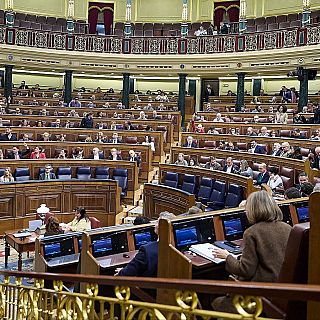 Torna a caure el decret de l'escut social