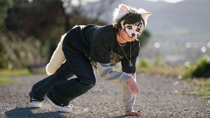 El mat� de R�dio 4 - 'Therians', tots tenim un animal a dins? Sortim al carrer per saber que opina la gent! - El mat� de R�dio 4 | Escoltar