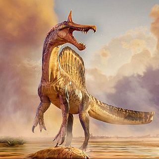 'Spinosaurus mirabilis', el nuevo dinosaurio descubierto