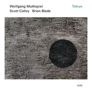 Wolfgang Muthspiel, Scott Colley & Brian Blade