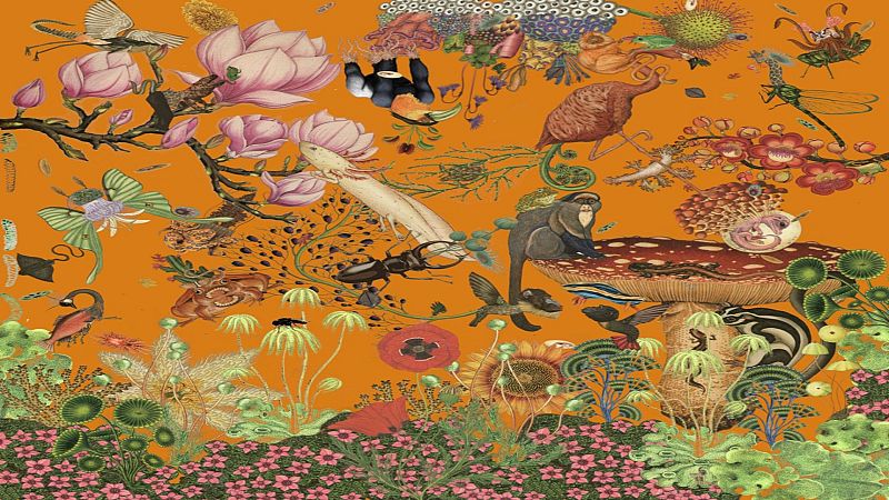 Islas de Robinson - Ya lo empiezo a notar - 02/03/26 - Islas de Robinson | Escuchar