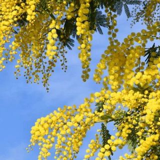 Imágenes de un día de 2026