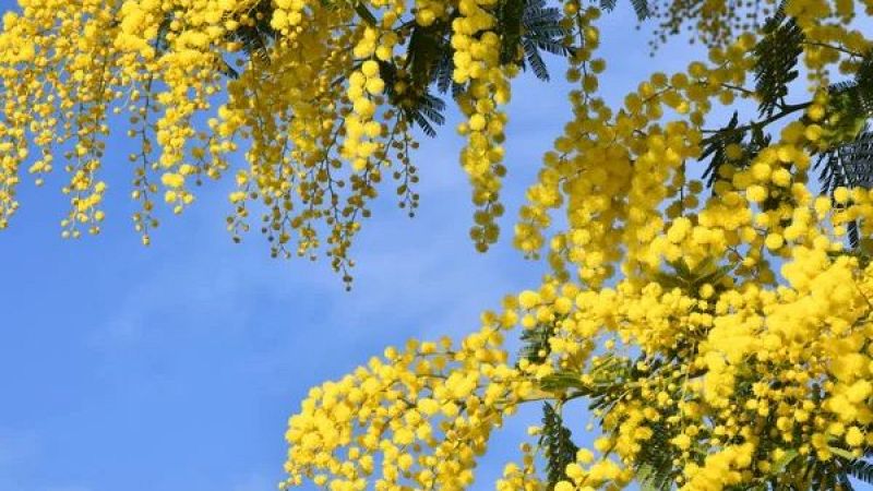 La hora azul - Imágenes de un día de 2026 - 02/03/26 - La hora azul | Escuchar