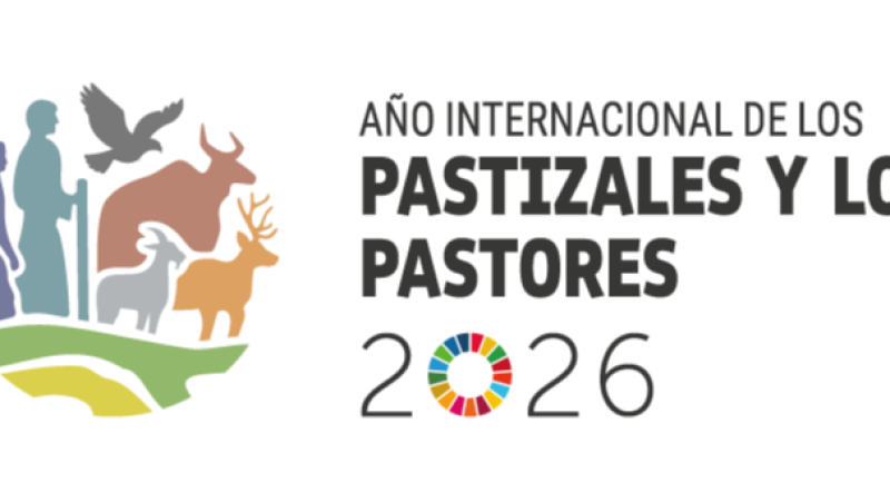 Reportajes 5 Continentes- Año Internacional de los Pastizales y los Pastores - Reportajes 5 continentes | Escuchar