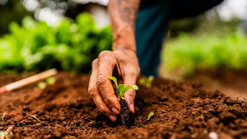 Mundo rural - UE-Mercosur - 04/03/26 - Escuchar ahora