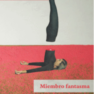 'Miembro fantasma', de Fernanda Trías