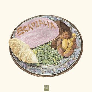 Echolalia: guitarras y amistad