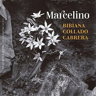 Hombres con ternura y maridos asesinos