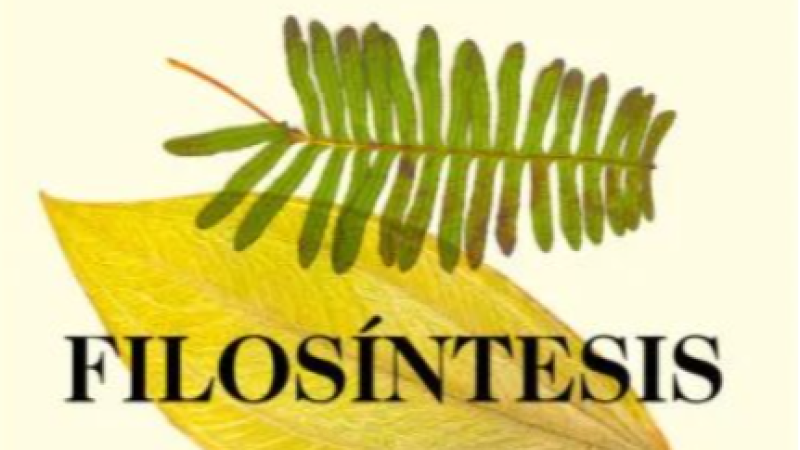 'Filosíntesis', de Santiago Beruete - Hoy empieza todo | Escuchar