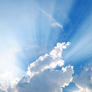 Reinas de los cielos