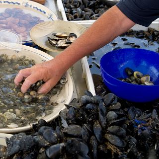 El oficio invisible de las mariscadoras del Cantábrico