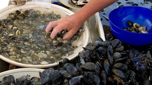 El oficio invisible de las mariscadoras del Cantábrico