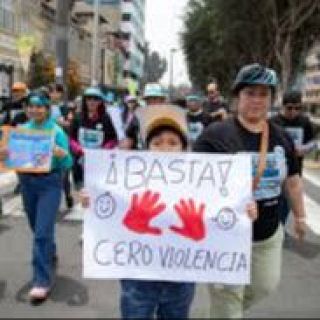 Britta Baer, asesora regional en prevención de la violencia de la OPS