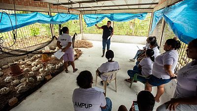 De v�ctimas de las violencias de Colombia a cuasi-empresaarias empoderadas - Reportajes en Radio 5 | Escuchar