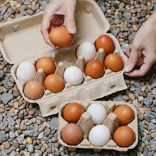 El truc infalible (i fàcil) per saber si els ous són frescos