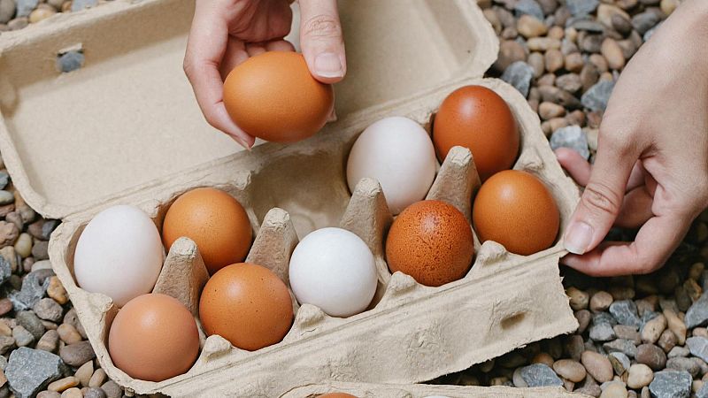 Bon dia i bona sort - El truc infalible (i f�cil) per saber si els ous s�n frescos - Bon dia i bona sort | Escoltar