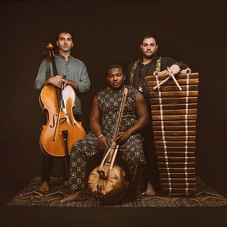 Viajes africanos con remate nipón