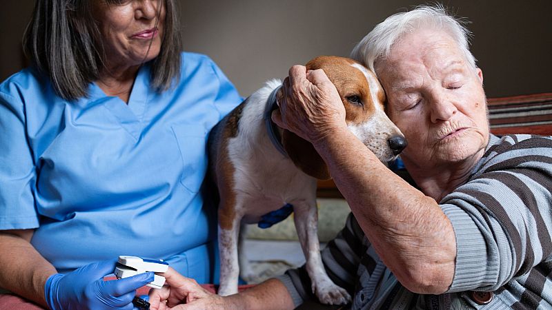 Reportajes Emisoras - Mallorca - Terapia con perros - 11/03/26 - Escuchar ahora