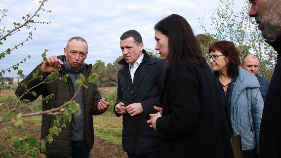 El Pla de l'avellana contempla 25 mesures per garantir la producció